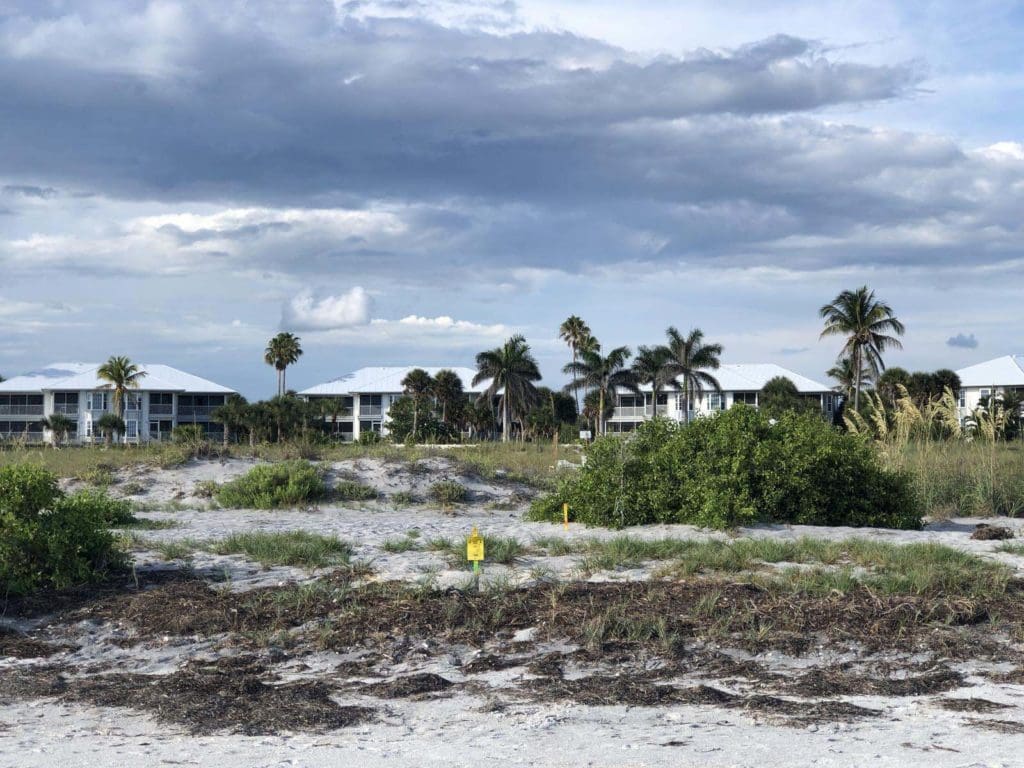 fathers-day_boats-and-bbq_15