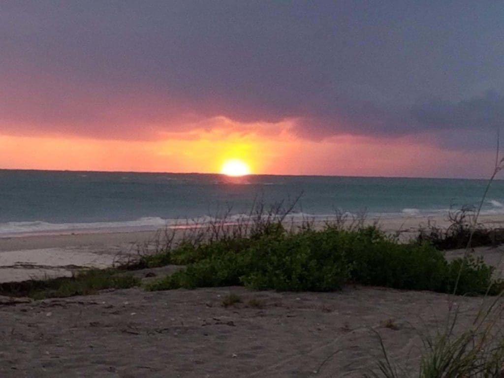 fathers-day_boats-and-bbq_32