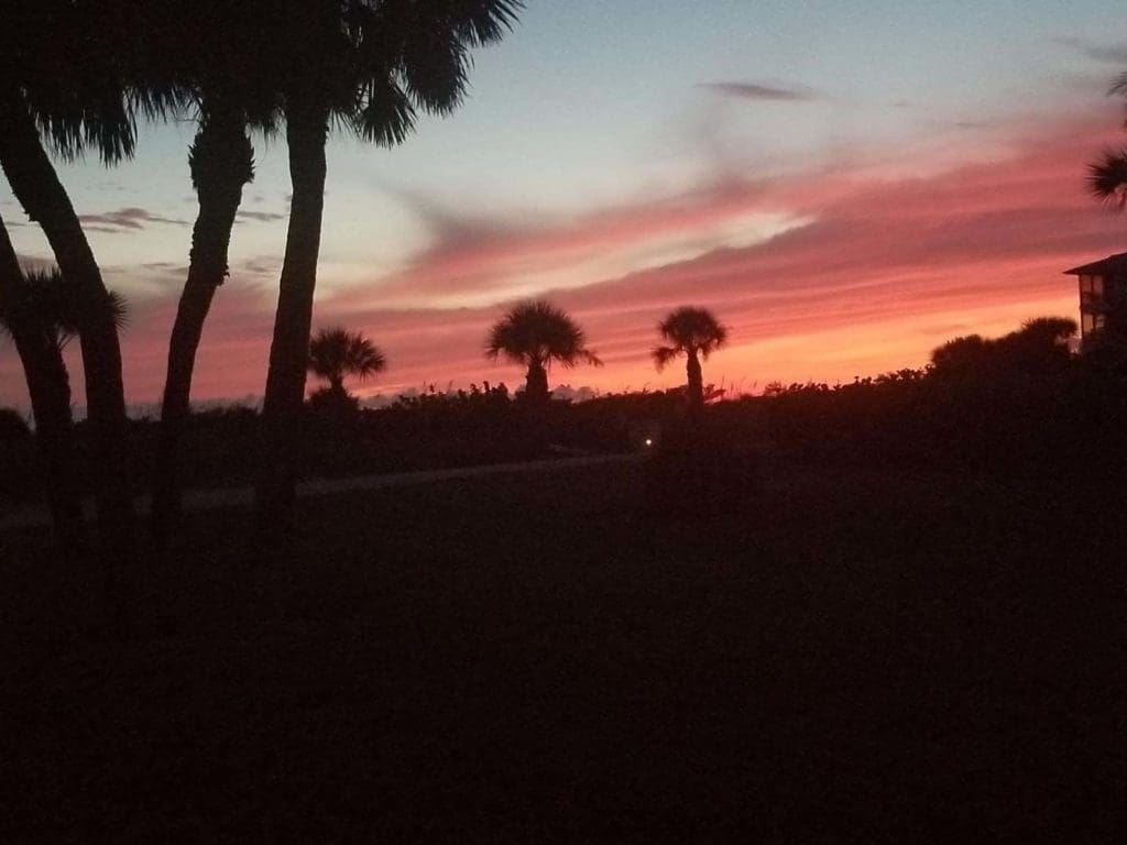 fathers-day_boats-and-bbq_33