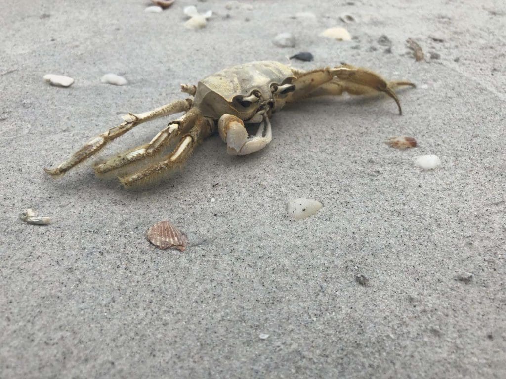 fathers-day_boats-and-bbq_42