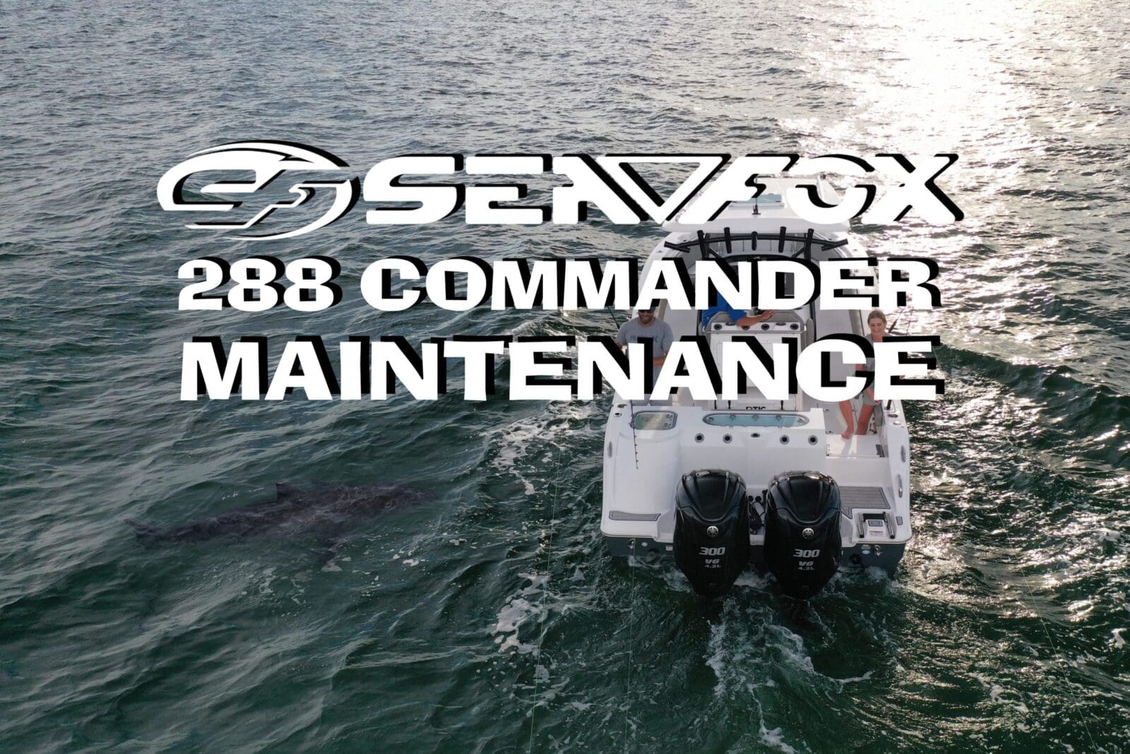 Sea-Fox-Maintenance-SeaFox-288-Commander-Stern-Shot