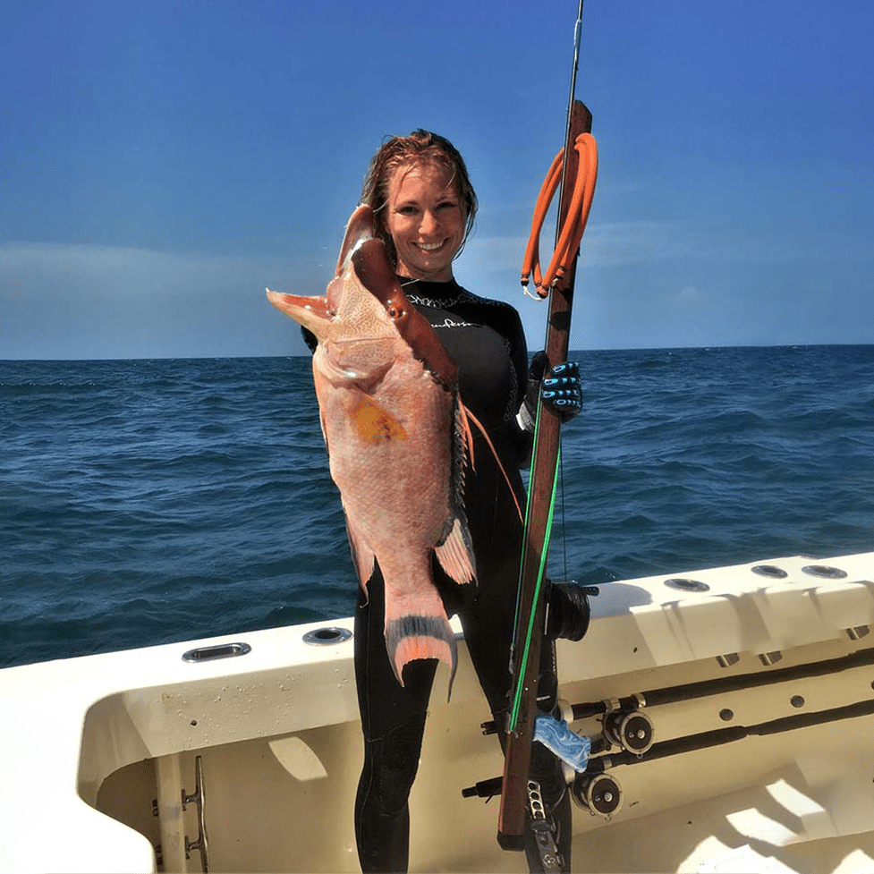collecting-a-few-hogfish