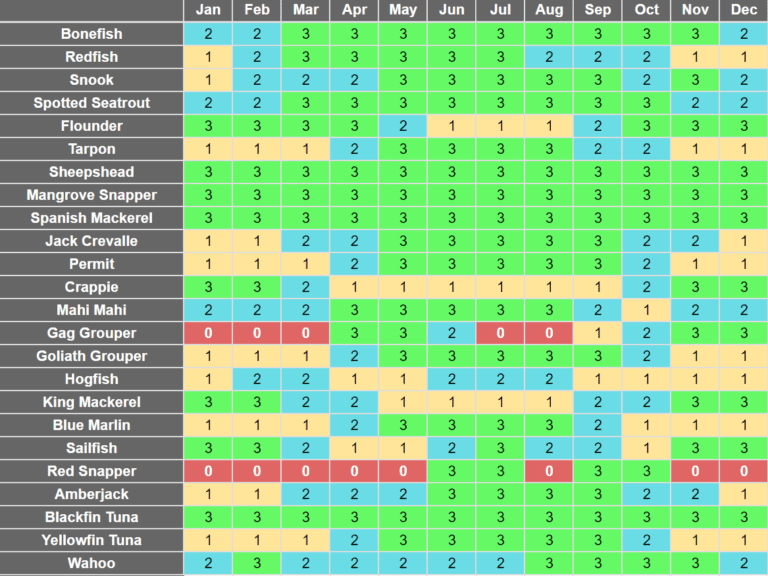 Florida Fishing Seasons Guide