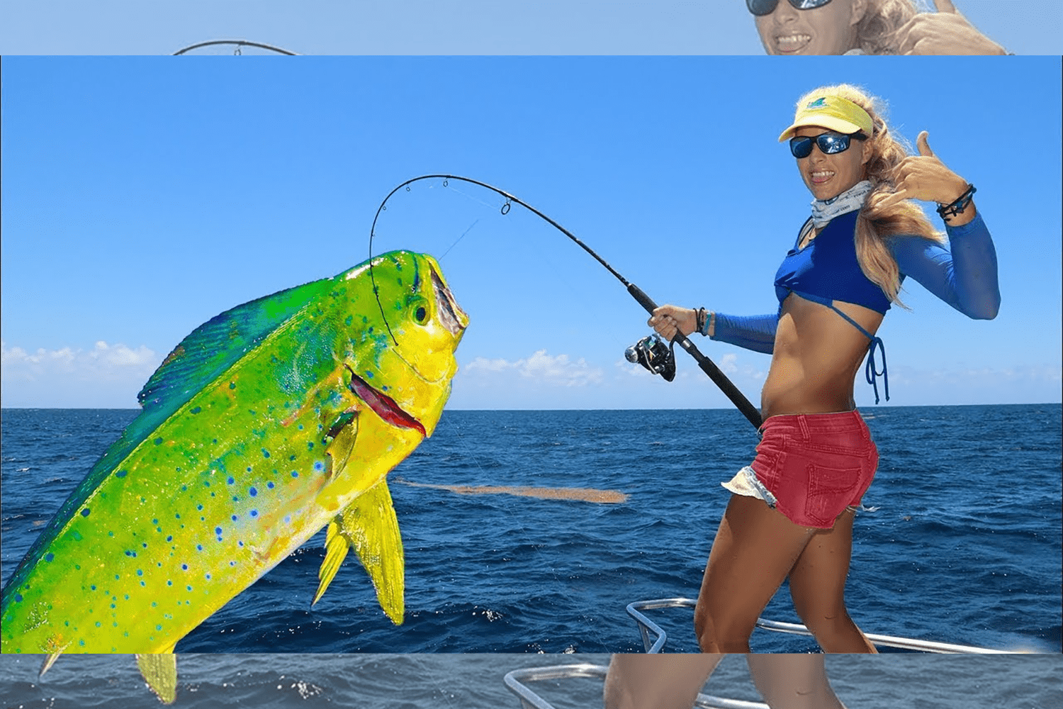 mahi-mahi-fishing-in-florida