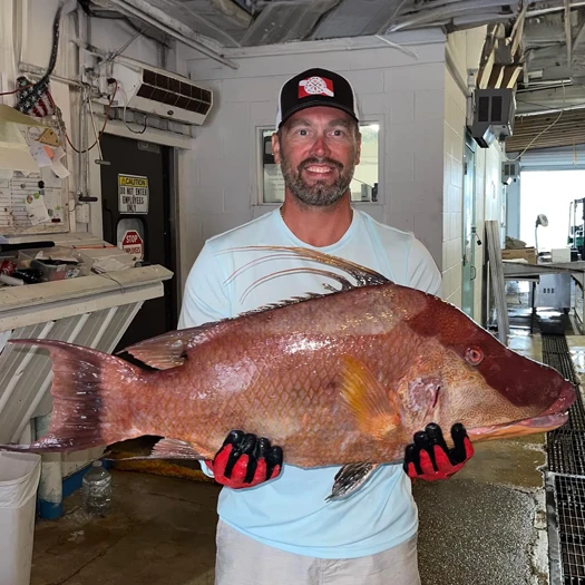 world-record-grouper-speared-in-florida