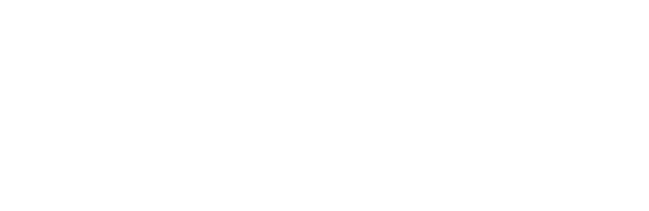 maverick-white-logo copy
