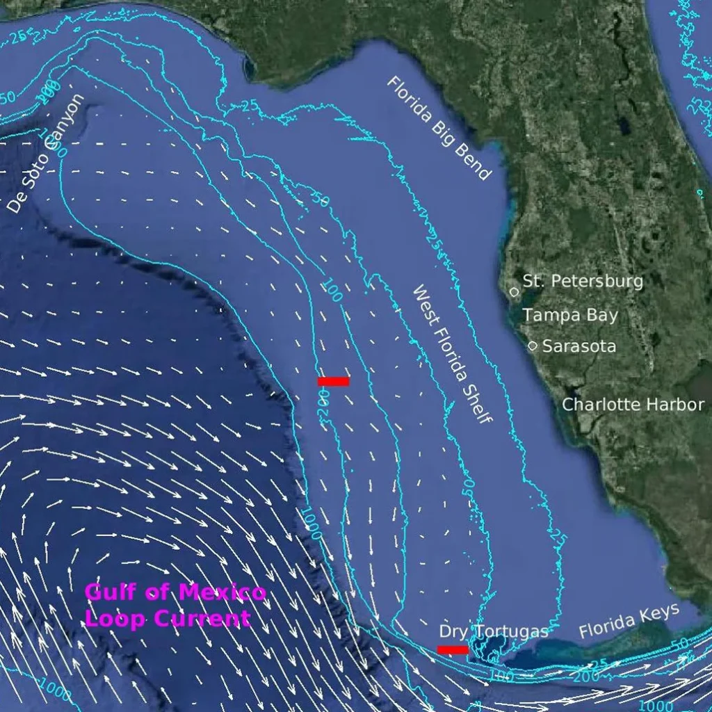 Florida West Shelf