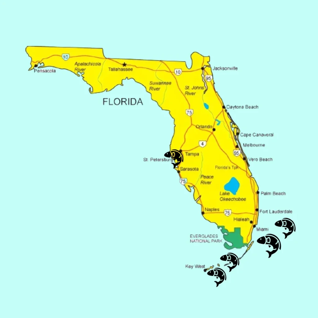 florida map of barracuda hotspots