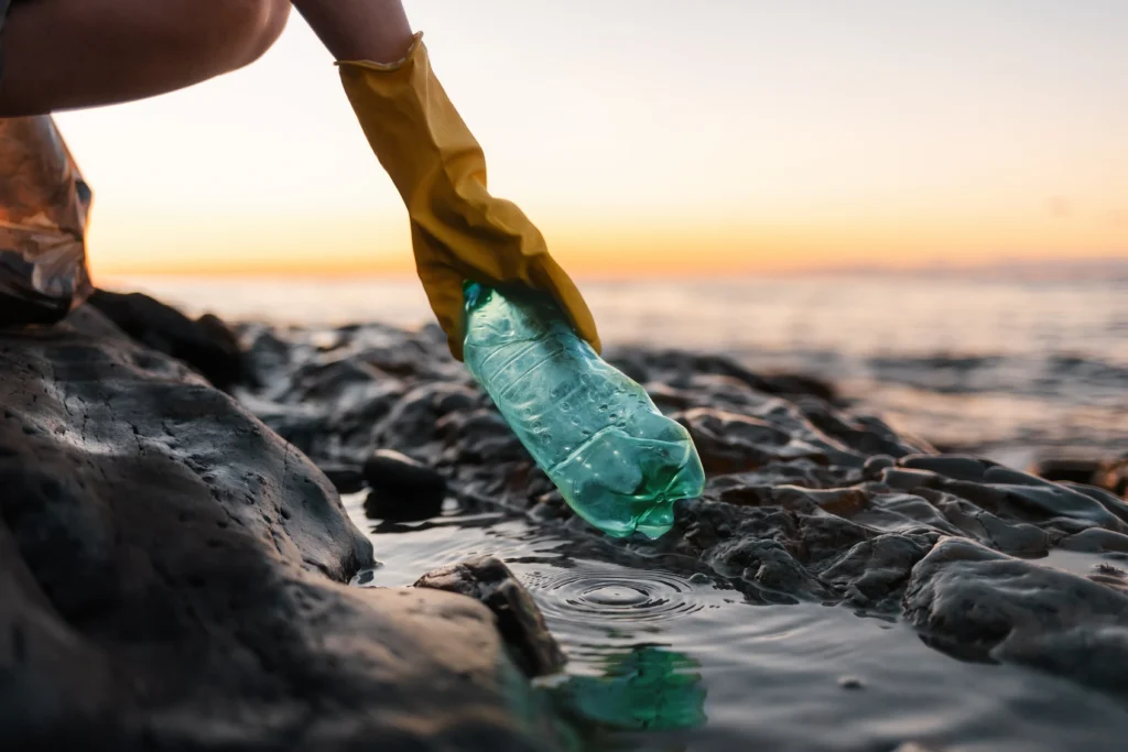 Beach Garbage Cleanup