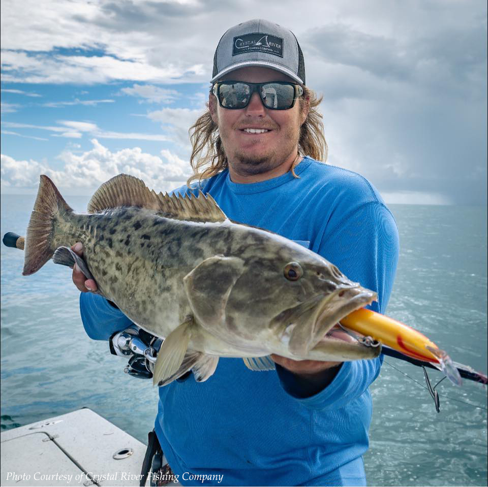 Gag Grouper Season